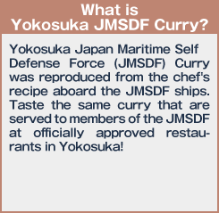 What is Yokosuka JMSDF Curry?